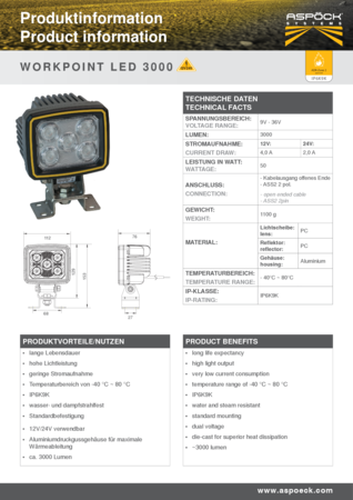 Workpoint LED 3000