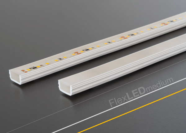 Flex led 2025